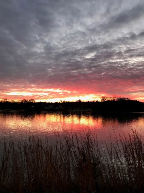 802 Corley Ln, Oxford, MS 38655 - photo 2