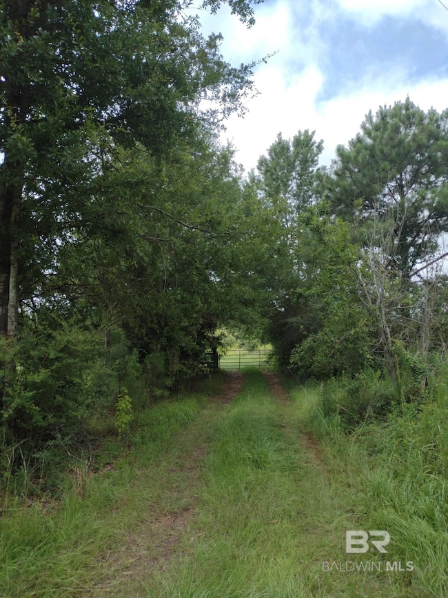 22200 Gap Weekly Rd, Perdido, AL 36562 - photo 2