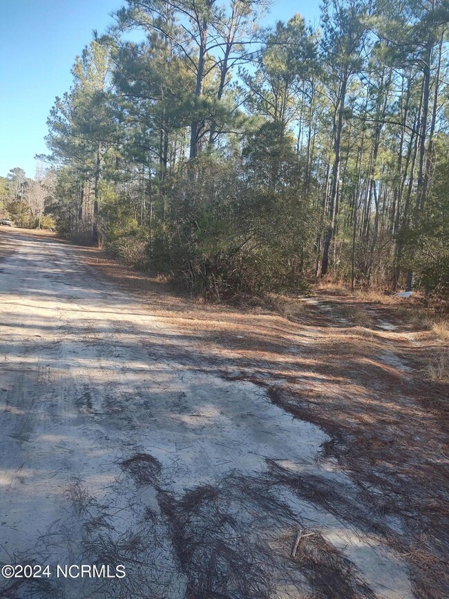 0 Irvine Trail NE, Winnabow, NC 28451 - photo 6