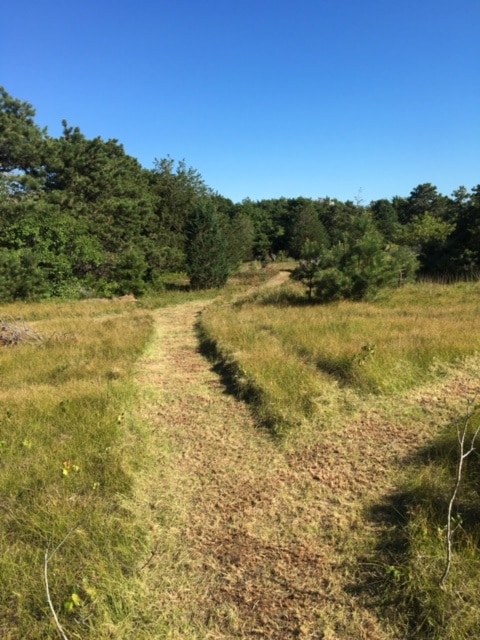 39 Slough Cove Road - Part of (Lot 38), Edgartown, MA 02539 - photo 6