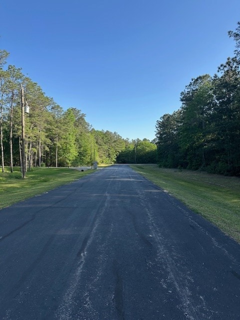 View of road with a forest view