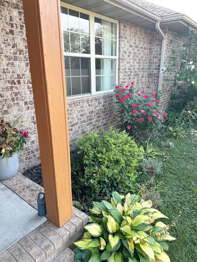 767 S Hackberry Ave, Nixa, MO 65714 - photo 6