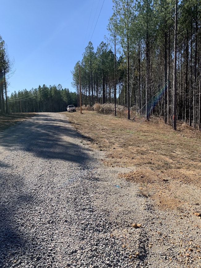 230 Fernwood Dr, Hohenwald, TN 38462 - photo 5