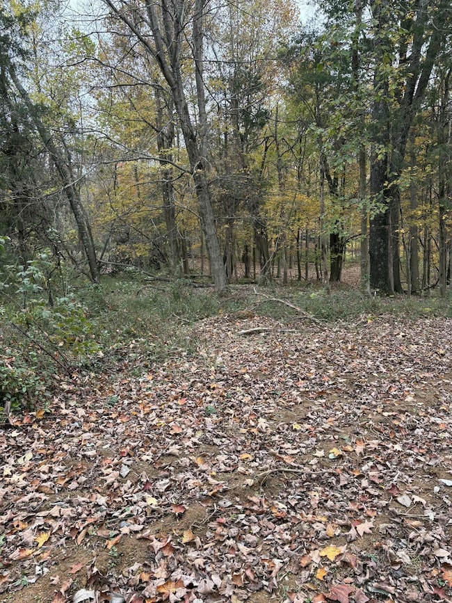 Pine Grove Ch Rd, Vanceburg, KY 41179 - photo 7