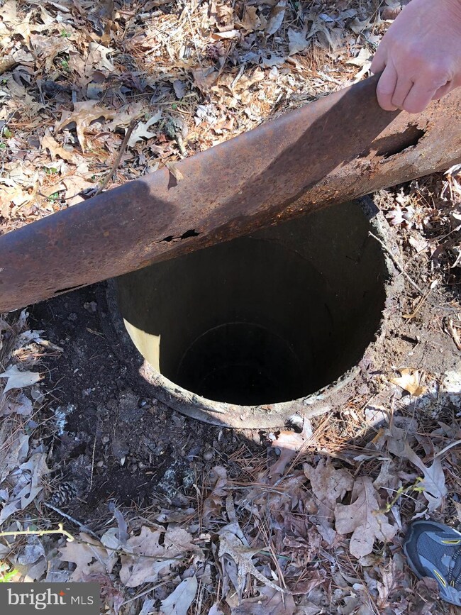 4910 Greenbranch St, Partlow, VA 22534 - photo 4