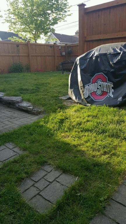 544 E Sycamore St, Columbus, OH 43206 - photo 7