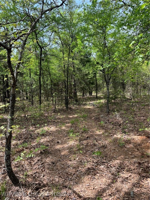 Tract 7 Station Rd, Bokoshe, OK 74930 - photo 6