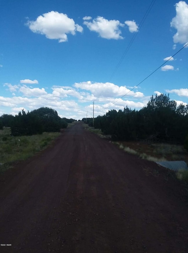 LOT G Powells Ln, Show Low, AZ 85901 - photo 5