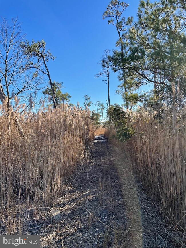 0 Griffith Neck Rd unit MDDO2003812, Cambridge, MD 21613 - photo 3