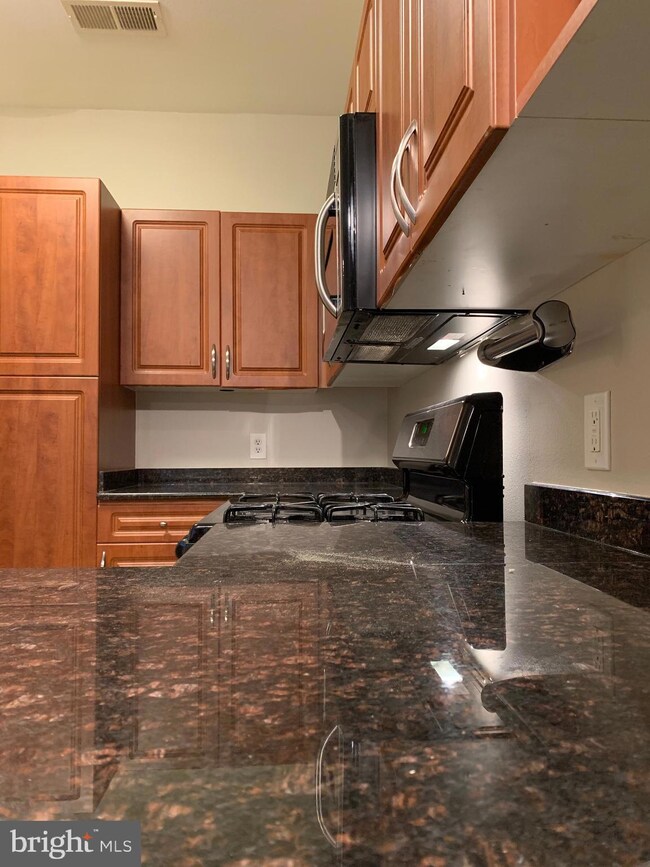 12917 Centre Park Cir unit 212, Herndon, VA 20171 - photo 7