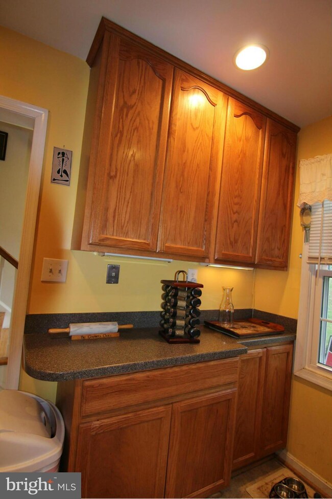 8402 Forrester Blvd unit 558, Springfield, VA 22152 - photo 6
