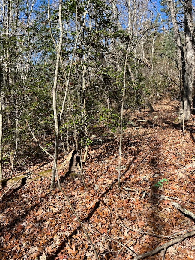 5 Hendon Rd, Graysville, TN 37338 - photo 4