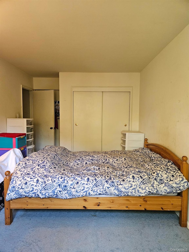 Bedroom featuring carpet floors and a closet