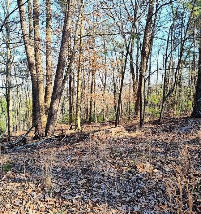 View of nature with a view of trees