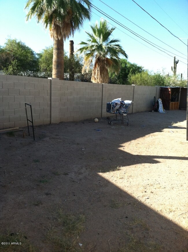 back yard