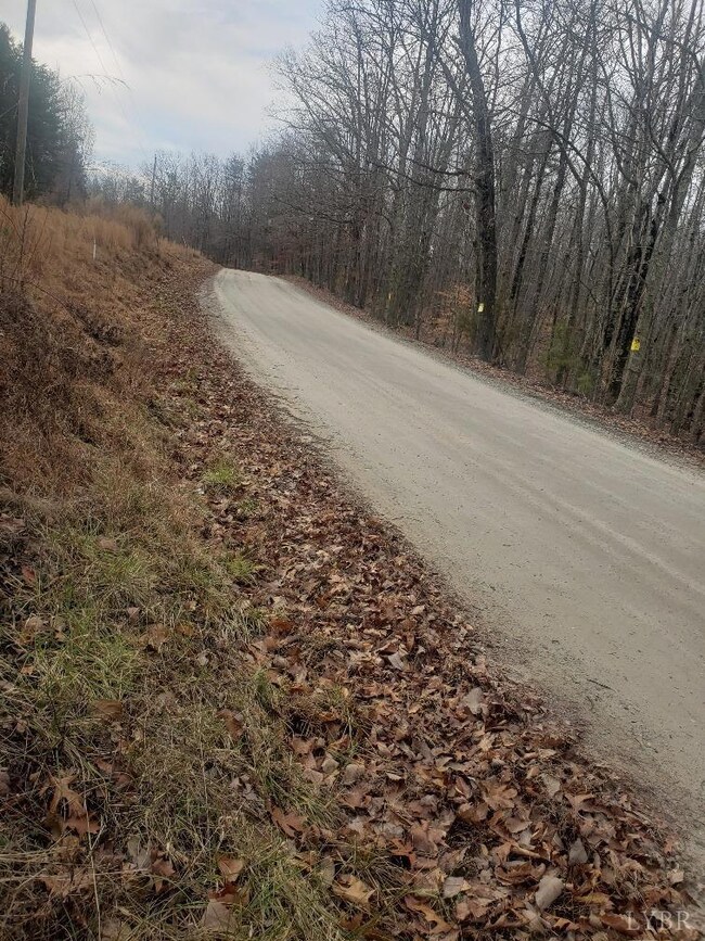 0 Mountain Creek Rd unit 363467, Prince Edward, VA 23942 - photo 5