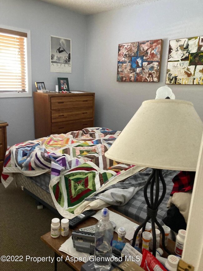 1313 Vine St unit 1313, Aspen, CO 81611 - photo 6