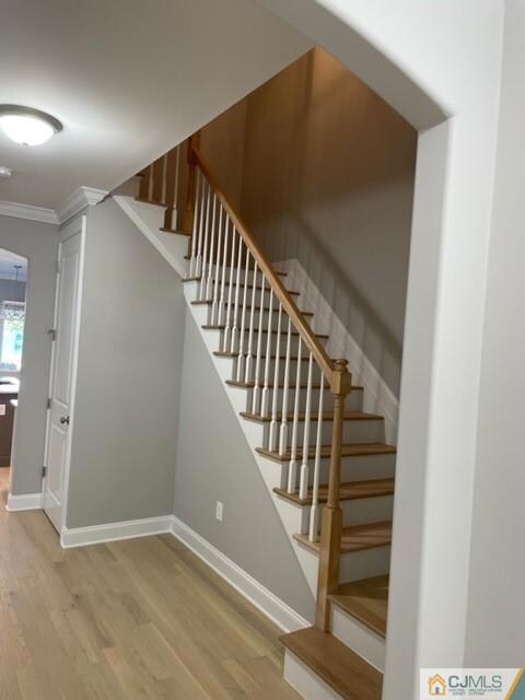 29 Halsey St, Metuchen, NJ 08840 - photo 4