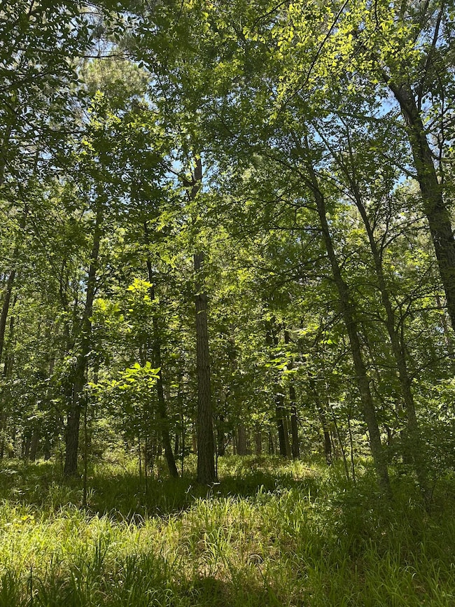 Lot 27 Honeysuckle Trail, Lincolnton, GA 30817 - photo 3