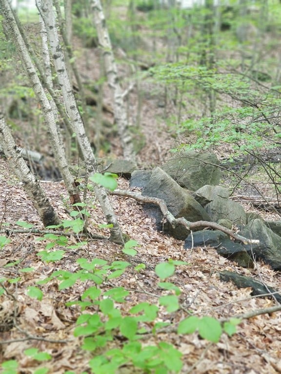 15 Forest St, Derry, NH 03038 - photo 2