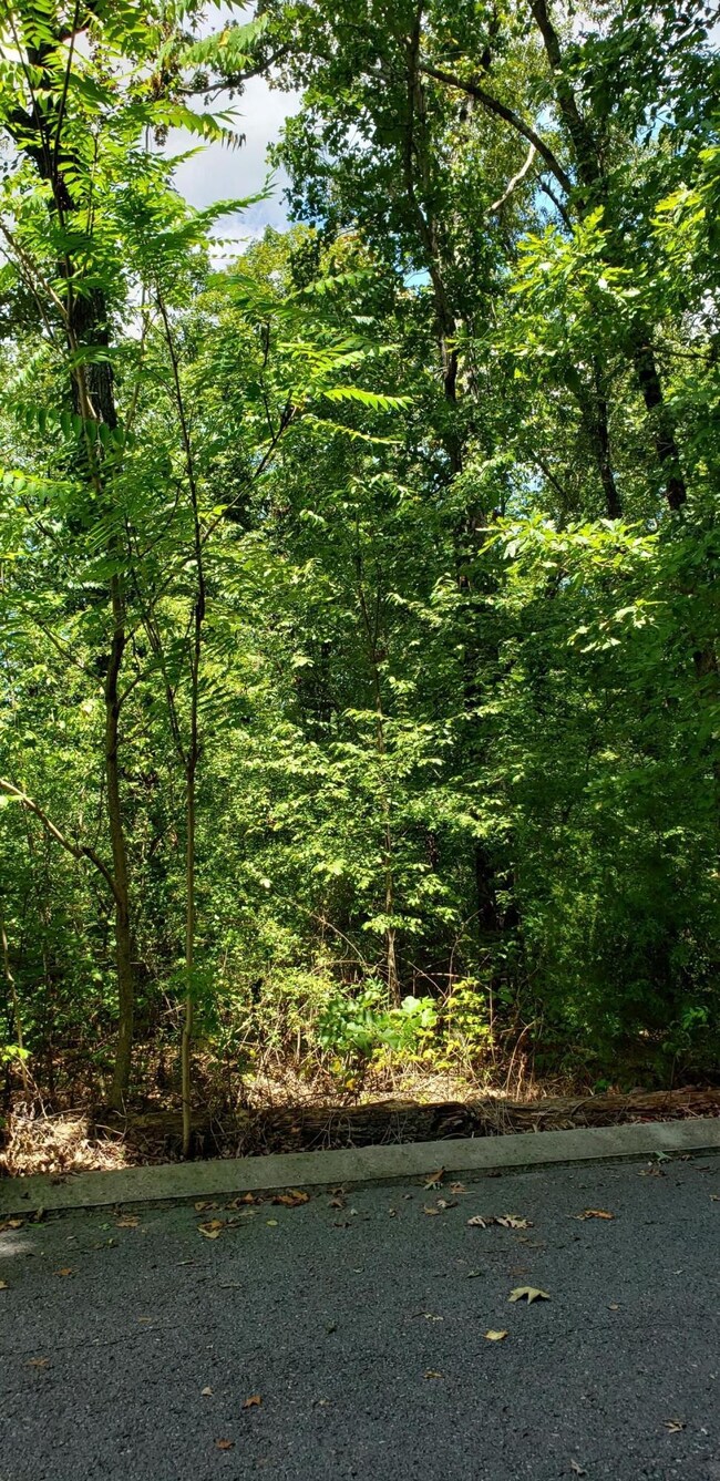 0 Shady Oaks Cove unit RTC2720334, Dunlap, TN 37327 - photo 6