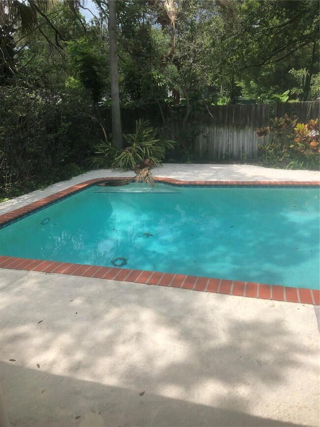 3907 W Corona St, Tampa, FL 33629 - photo 4