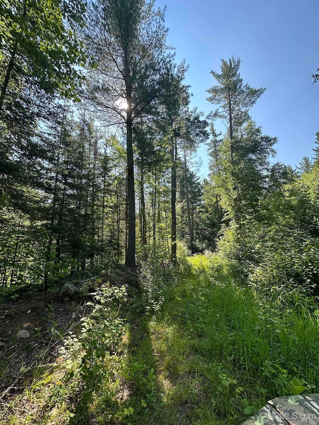 Off Indian Lake Rd, Michigamme, MI 49861 - photo 3