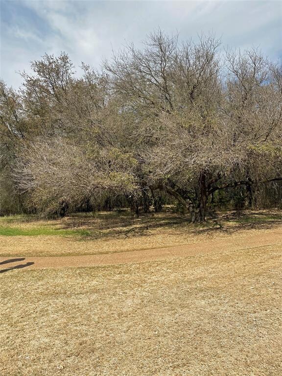 26012 Woodacre Rd, Whitney, TX 76692 - photo 6