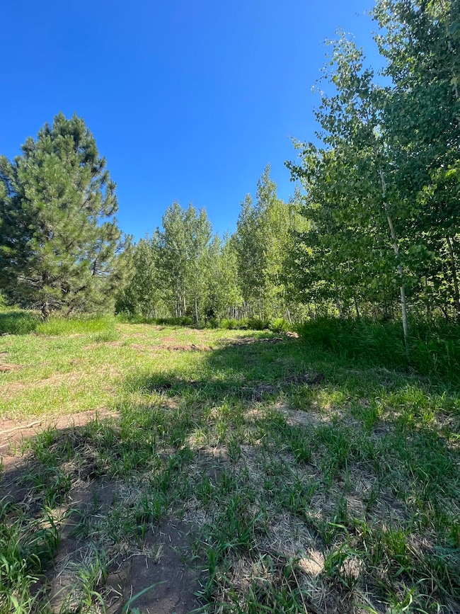 D3171F25-CF57-488F-A29E-C66BA3C9E4C4