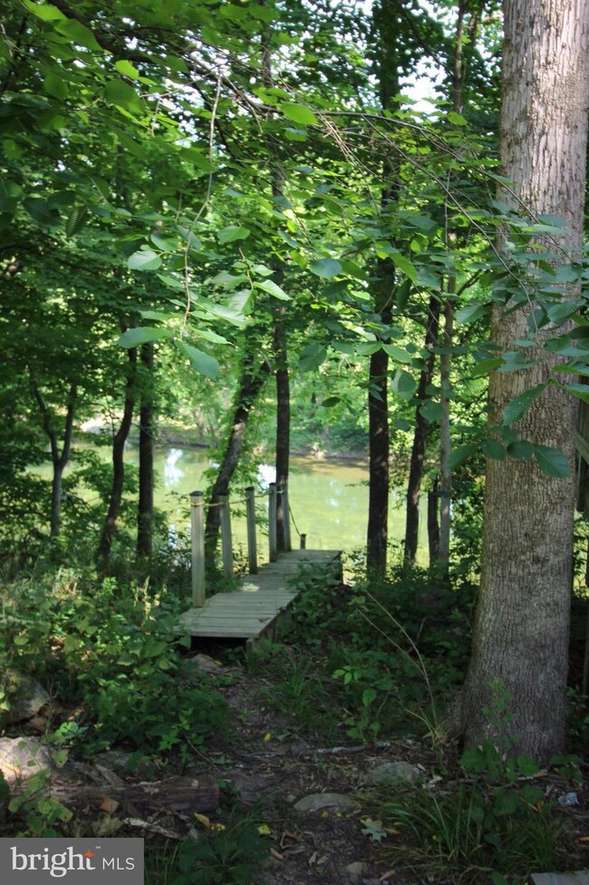 580 Colby Ln, Toms Brook, VA 22660 - photo 5