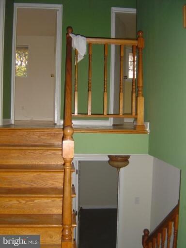 13021 Matey Rd, Silver Spring, MD 20906 - photo 4