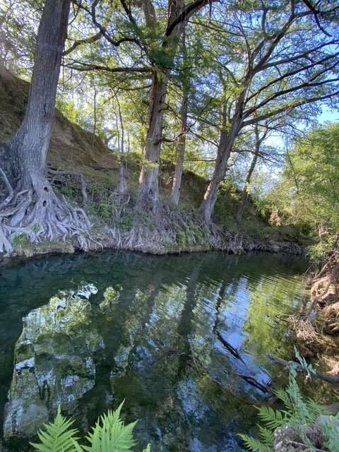 82 Private Road 3800, Utopia, TX 78884 - photo 5