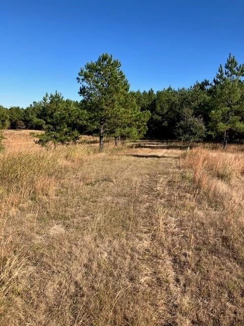 227 Collins Rd, Natchitoches, LA 71457 - photo 5