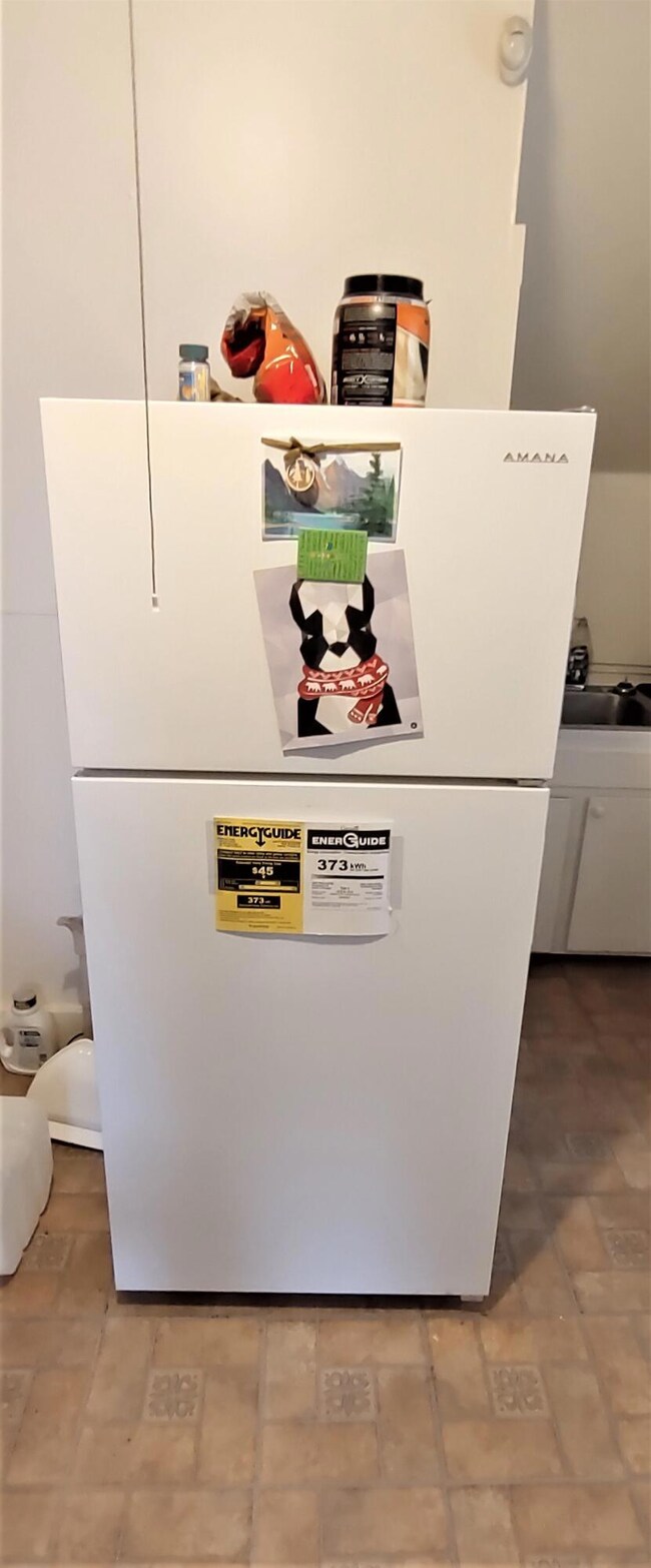 New Fridge