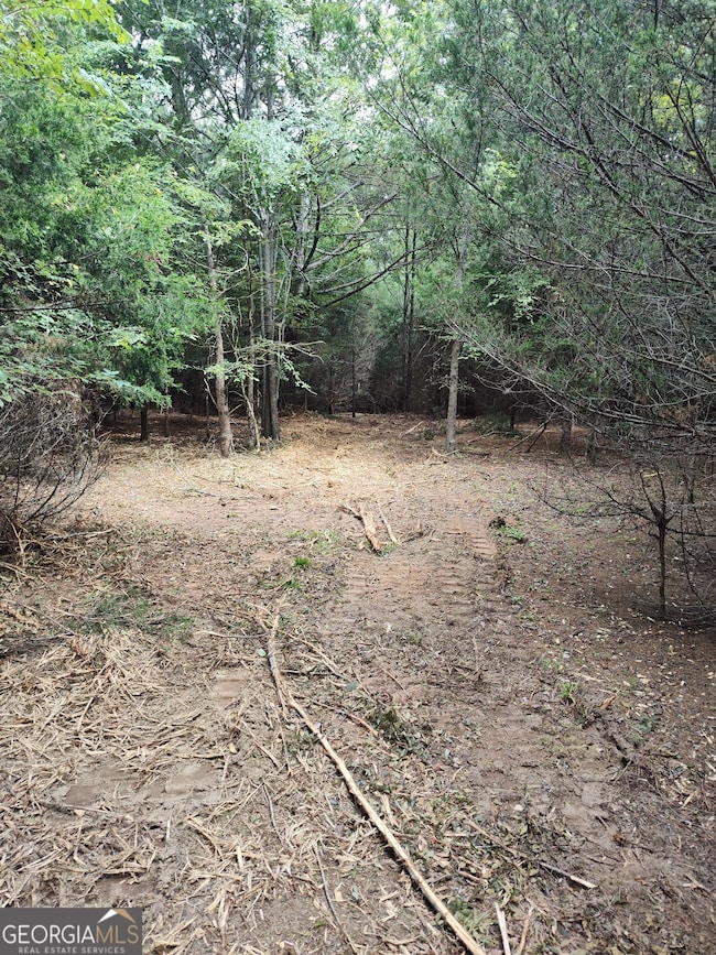 1661 G R Hayes Dr, Elberton, GA 30635 - photo 2