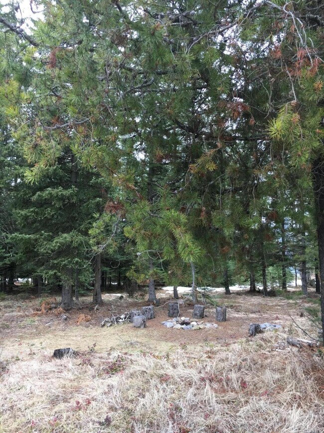 18 Carly Ln, Big Fork, MT 59911 - photo 5