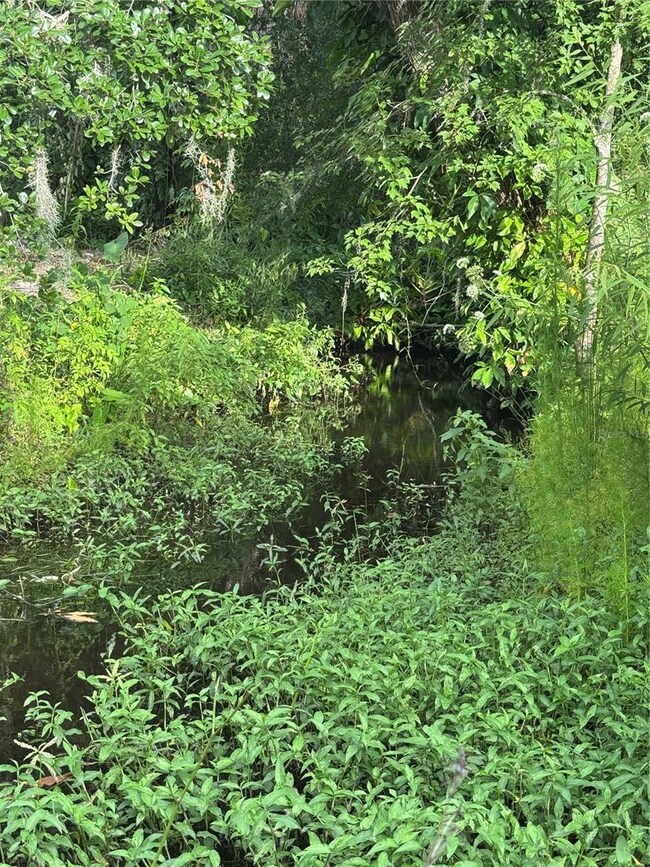 13930 Sweat Loop Rd, Wimauma, FL 33598 - photo 4