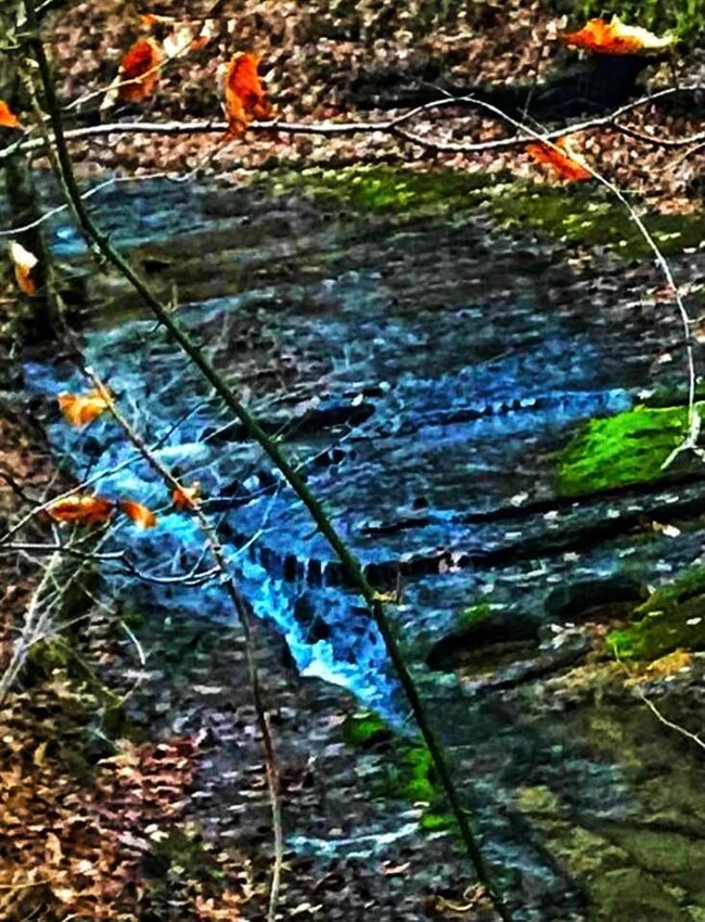 329 Burns Hollow Rd, Waynesboro, TN 38485 - photo 7