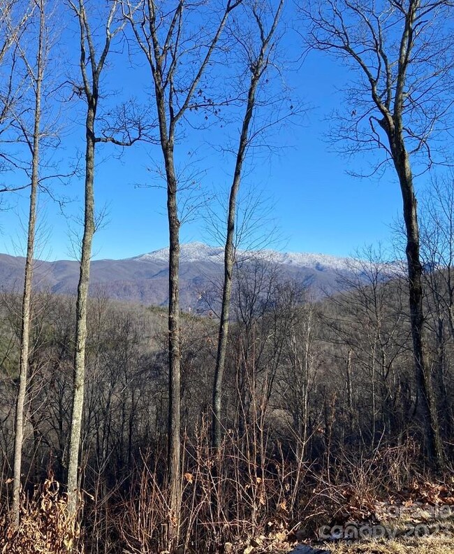 31 Heritage Ridge Rd, Burnsville, NC 28711 - photo 2