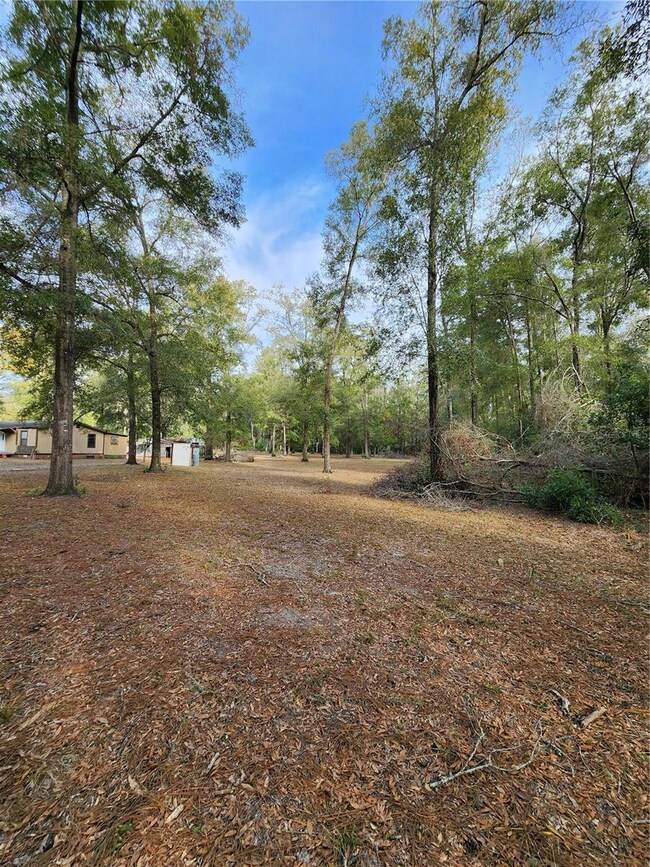 3993 284th Terrace, Branford, FL 32008 - photo 4