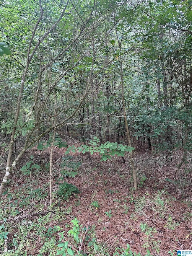 715 Fallview Ct, Odenville, AL 35120 - photo 3