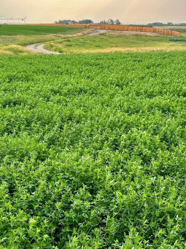 NHN 12th Ln NE, Fort Shaw, MT 59443 - photo 3