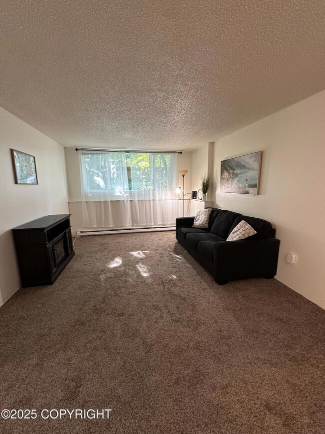 3100 Ward Place unit 7, Anchorage, AK 99517 - photo 4