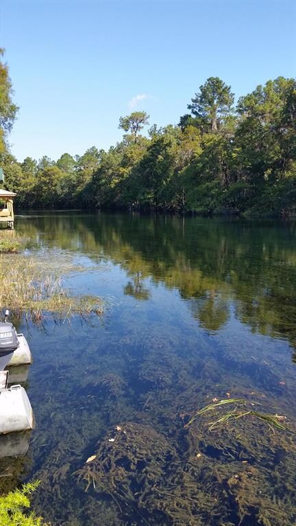 10037 SW 186th Ave, Dunnellon, FL 34432 - photo 5