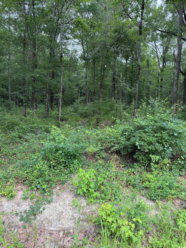 TBD Lot 20 Duck Island Rd unit Duck Island Rd, Gresham, SC 29546 - photo 2
