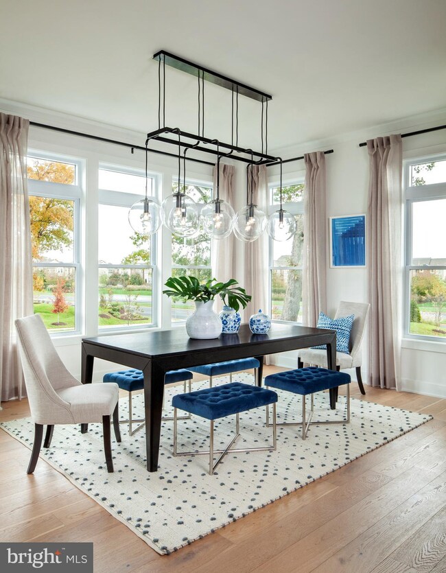 23576 Belvoir Woods Terrace, Ashburn, VA 20148 - photo 3