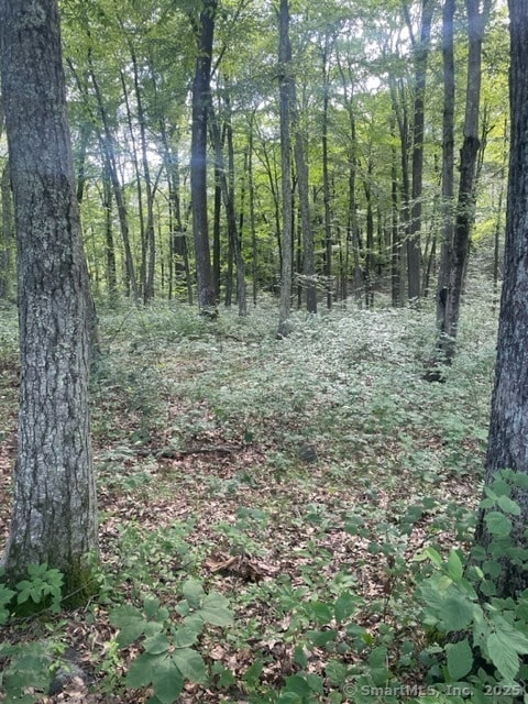 24 Costa Ln, Redding, CT 06896 - photo 4