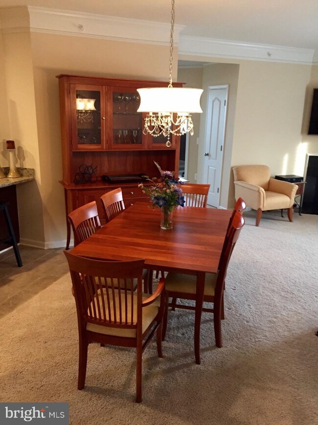 43138 Stillwater Terrace unit 406, Broadlands, VA 20148 - photo 6