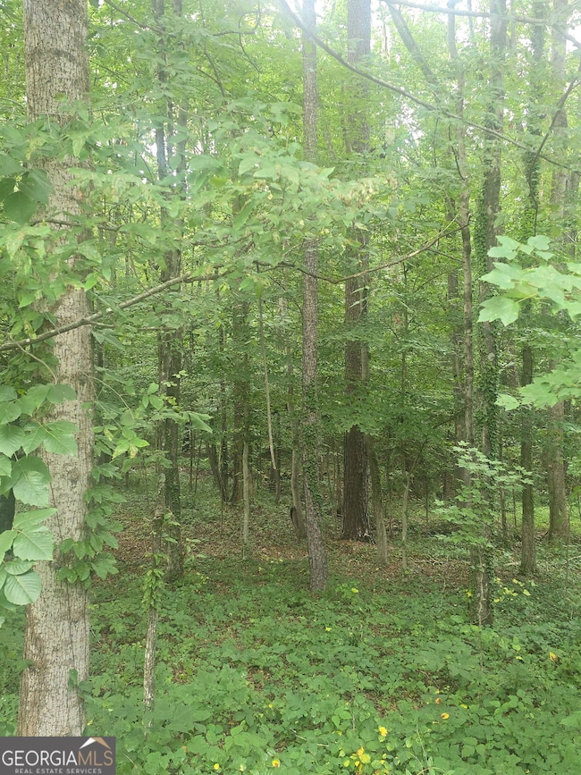 6147 Little Ridge Rd, Acworth, GA 30102 - photo 6