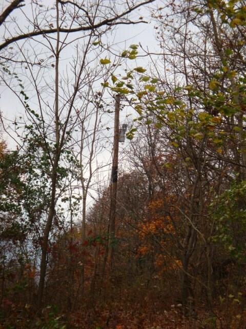 5045 Madison 5185, Elkins, AR 72727 - photo 3